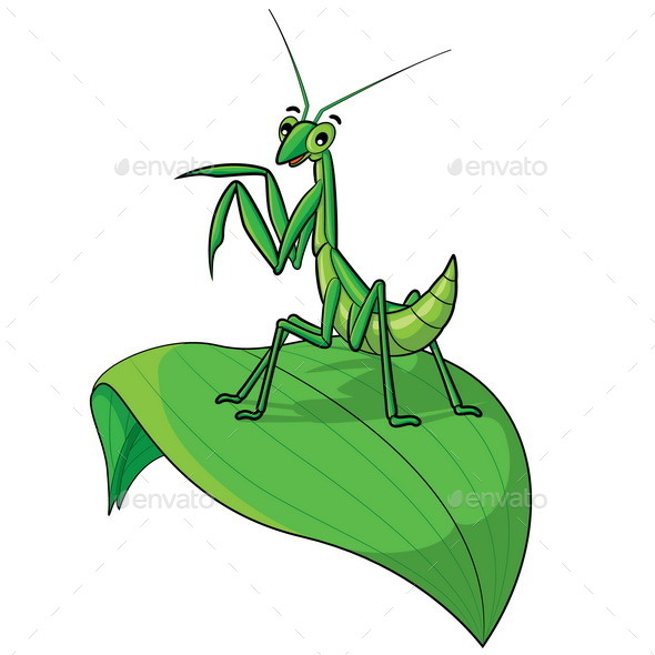 Praying Mantis Cartoon by rubynurbaidi | GraphicRiver